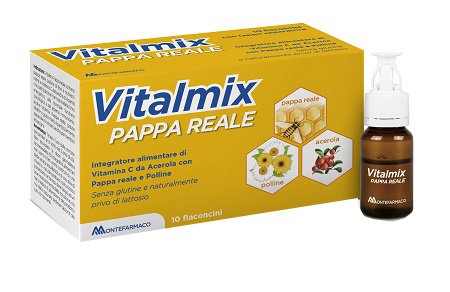 VITALMIX PAPPA REALE 10FL