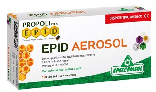 EPID AEROSOL 10 FIALE X 2 ML
