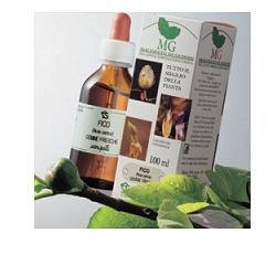CARPINO 100 ML MACERATO GLICERICO