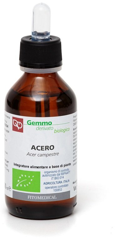 ACERO MACERATO GLICERICO 100 ML