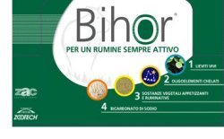 BIHOR DIET RUMINATIVO 12 BUSTE DA 125 G