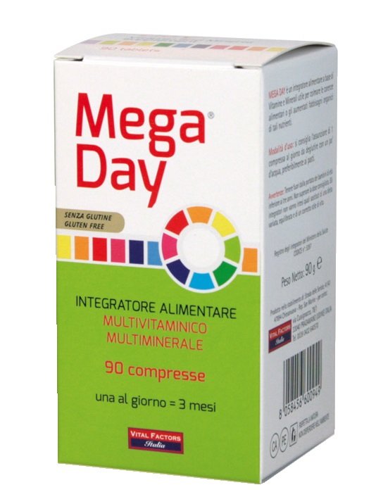 MEGA DAY 90 COMPRESSE