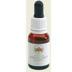 YELLOW COWSLIP ORCHID GOCCE 15 ML