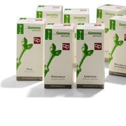 CARPINO MACERATO GLICERICO 200 ML