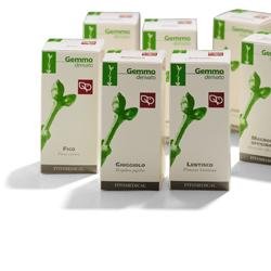 GINEPRO MACERATO GLICERICO 100 ML