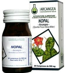 NOPAL 60 CAPSULE 500 MG
