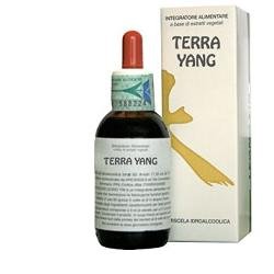 TERRA YANG 50 ML