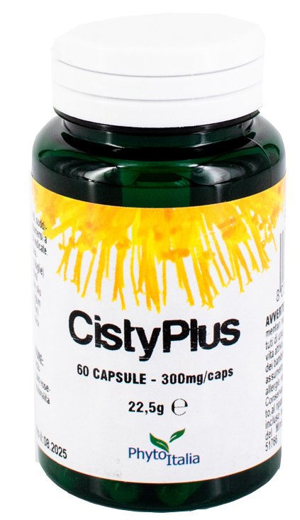 CYSTIPLUS 60 CAPSULE