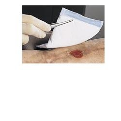COMPRESSA STERILE ASSORBENTE CON FLUFF DI CELLULOSA VLIWAZELL 10X20CM 30 PEZZI