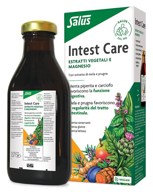 INTEST CARE 250 ML