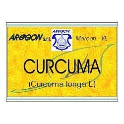 CURCUMA 60 CAPSULE 500 MG