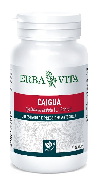 CAIGUA 60 CAPSULE 400 MG