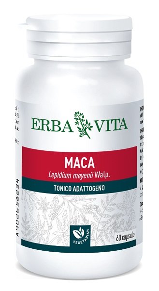 MACA 60 CAPSULE 400 MG