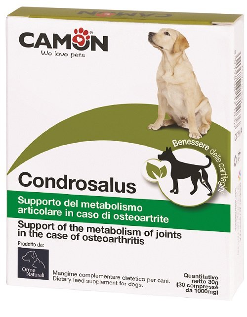 ORME NATURALI CONDROSALUS 60 COMPRESSE
