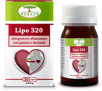 LIPO 320 30 CAPSULE