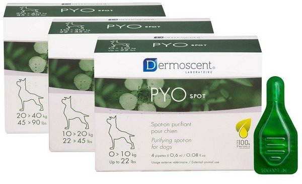 PYO SPOT CANE 0-10KG