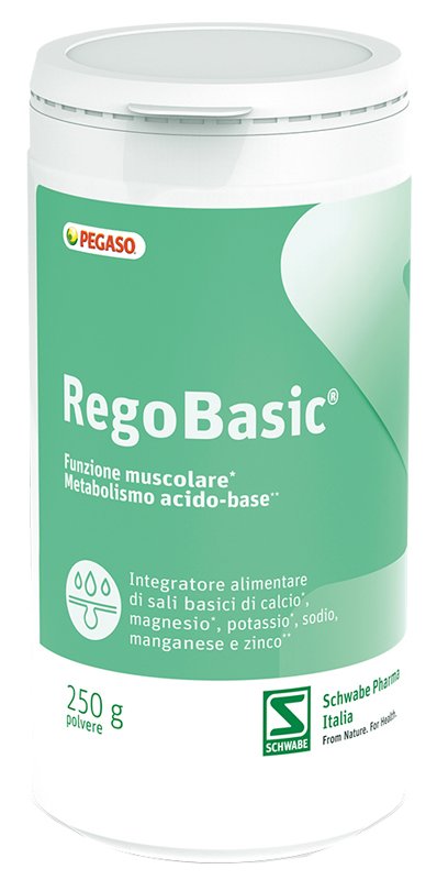 REGOBASIC POLVERE 250 G