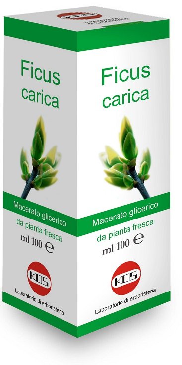 FICUS CARICA MACERATO GLICERICO 100 ML