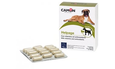 HELPAGE VET 60 COMPRESSE