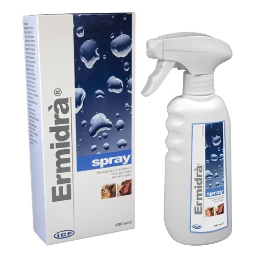 ERMIDRA%27 SPRAY 300 ML