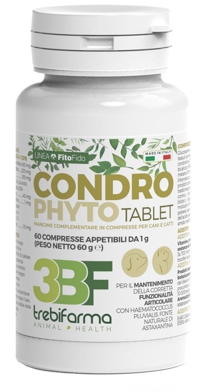 CONDROPHYTO 60 COMPRESSE DA 1 G