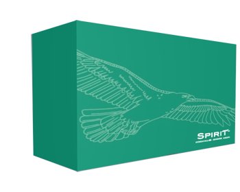 CATETERE ESTERNO UOMO SPIRIT1 IN SILICONE 29MM CON ADESIVO IDROCOLLOIDALE 4,5CM GUAINA 7,6CM 30 PEZZI