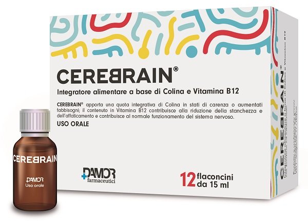 CEREBRAIN 12 FLACONCINI DA 10 ML