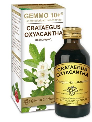 GEMMO 10+ BIANCOSPINO LIQUIDO ANALCOLICO 100 ML