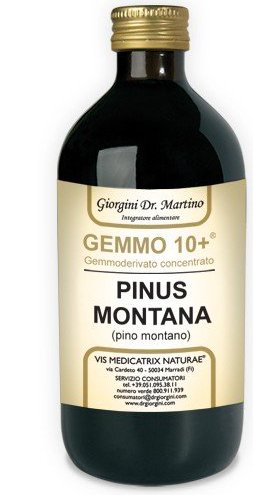 GEMMO 10+ GEMMODERIVATO CONCENTRATO LIQUIDO ANALCOLICO PINUS MONTANA PINO MONTANO 500 ML