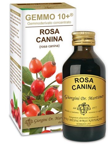 GEMMO 10+ ROSA CANINA LIQUIDO ANALCOLICO 100 ML