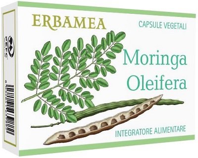 MORINGA OLEIFERA 24 CAPSULE