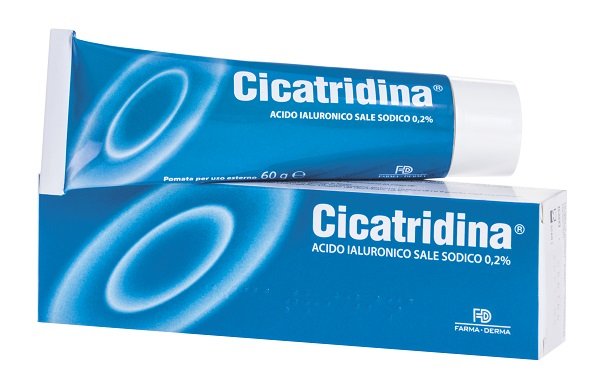 CICATRIDINA POMATA 60 G