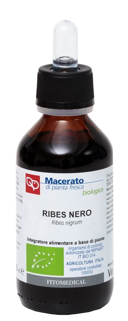 RIBES NERO TINTURA MADRE 100 ML BIO