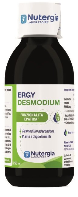 ERGYDESMODIUM 250 ML