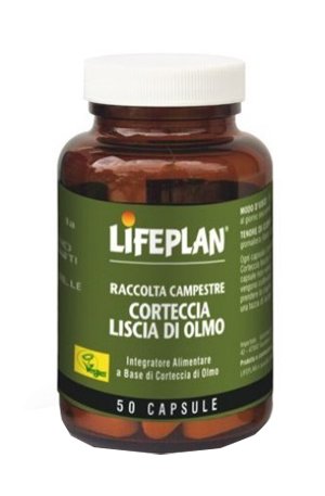 CORTECCIA LISCIA DI OLMO 50 CAPSULE