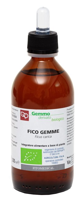 FICO MACERATO GLICERICO 200 ML BIO