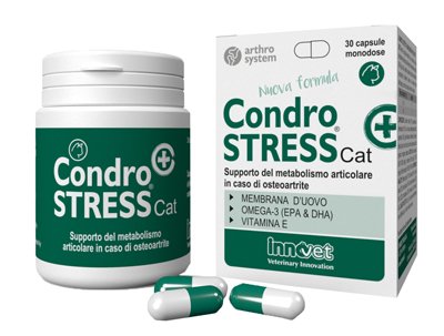 CONDROSTRESS + CAT 30 CAPSULE MONODOSE