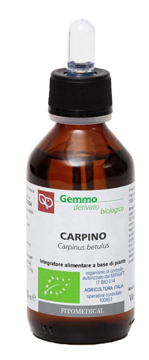 CARPINO MACERATO GLICERICO 100 ML BIO