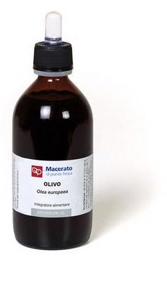 OLIVO TINTURA MADRE 200 ML BIO