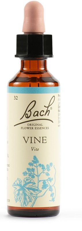 VINE BACH ORIG 20 ML
