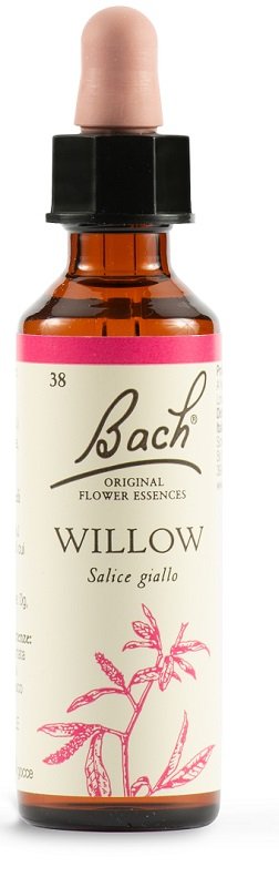 WILLOW BACH ORIG 20 ML