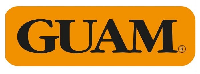 GUAM PANTY VENTRE PIATTO SNELLENTE XS-S 38-40