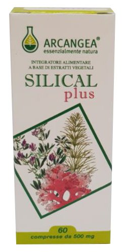 SILICAL PLUS 60 COMPRESSE