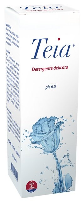 TEIA DETERGENTE CORPO 250 ML