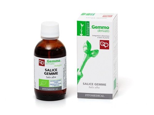 SALICE GEMME MACERATO GLICERICO 100 ML BIO