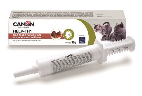 HELP-TH1 PASTA SIRINGA 30 G