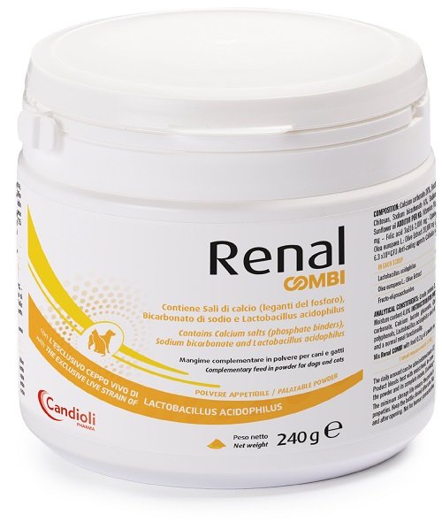RENAL COMBI POLVERE 240 G