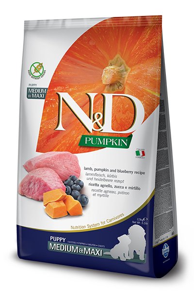 N&D GF PUMPKIN LAMB&BLUEBERRY PUPPY MEDIUM&MAXI 12 KG
