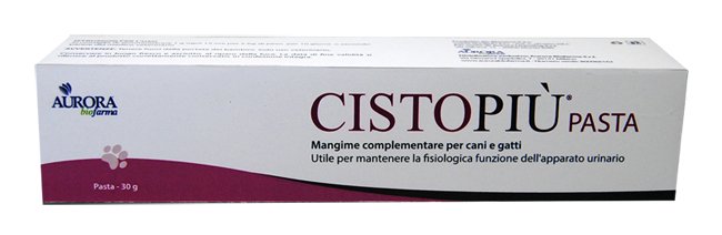 CISTOPIU%27 PASTA 30 G