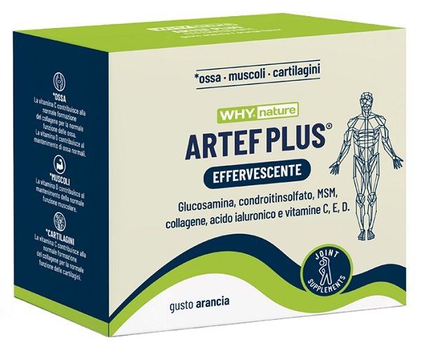 WHYNATURE ARTEF PLUS 24 BUSTINE